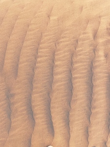 Pattern on sand in a desert