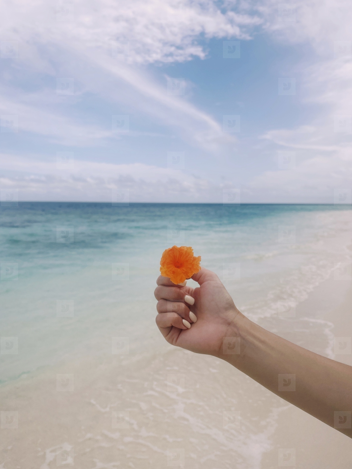Hand of an unrecognizable woman holding an orange flower against the ocean