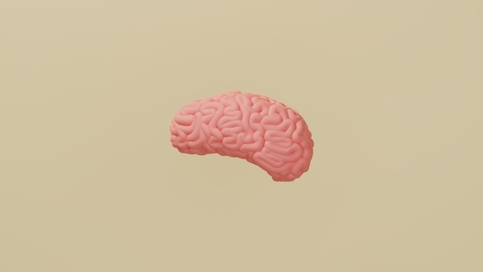 Side view of a human brain  3d illustration of a brain against the pastel background