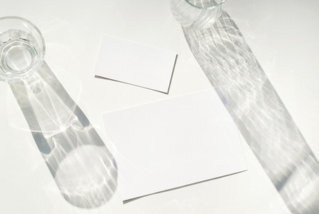 Blank business card mockup on glass with shade of natural leaves