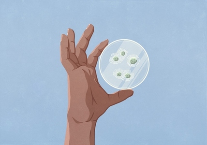 Close up hand holding petri dish with bacteria