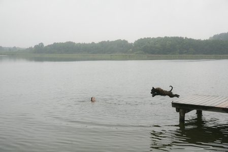 Girl watching pet dog diving into lake from dock