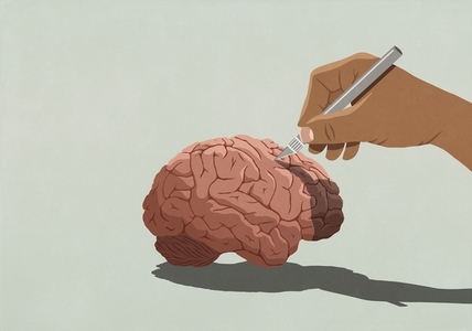 Hand with surgical knife dissecting brain
