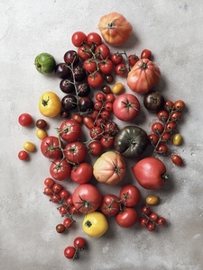 Still life variety tomatoes on gray background