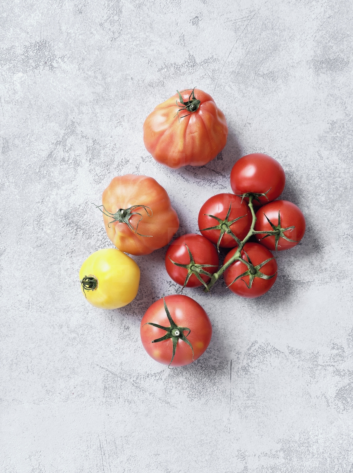 Still life variety red and yellow tomatoes on gray background