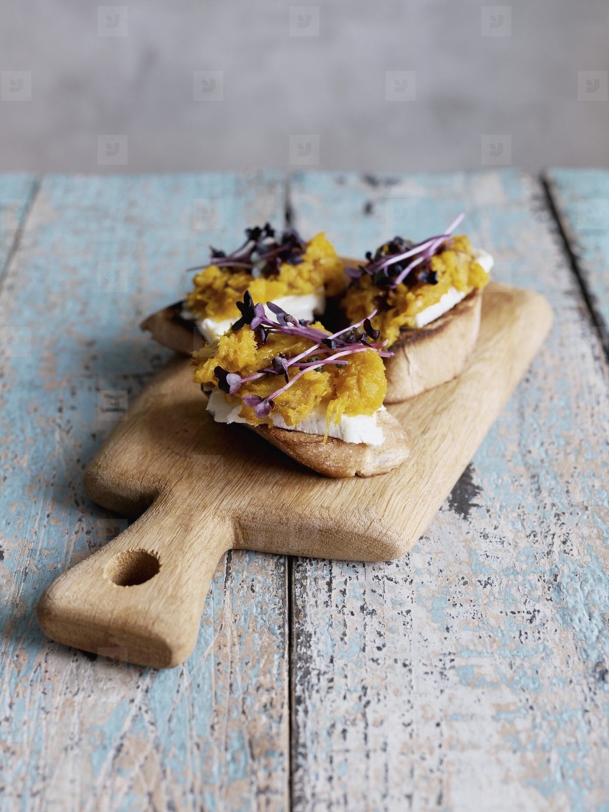 Still life butternut squash and radish microgreens toast appetizer on cutting board