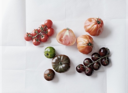 Still life variety of tomatoes on white background