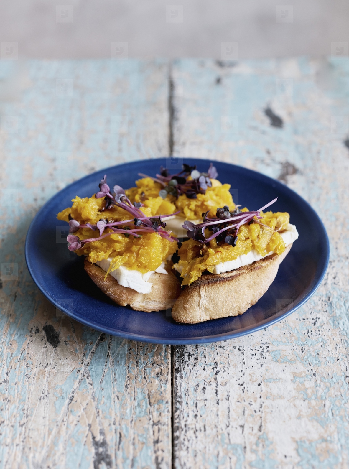 Still life butternut squash and radish microgreens toast appetizer on plate