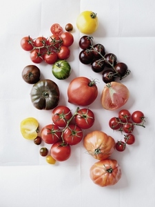 Still life variety tomatoes on white background