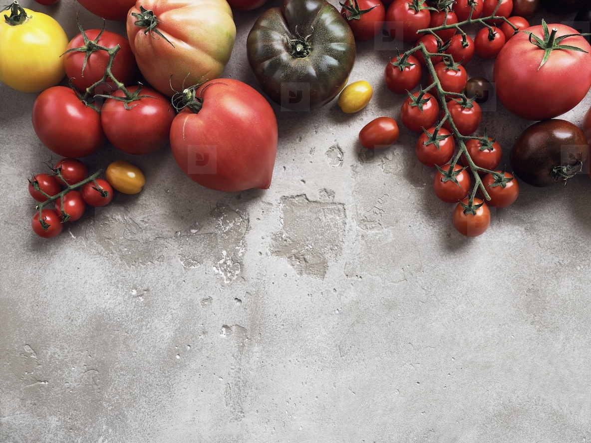 Still life variety of tomatoes on gray background