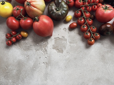 Still life variety of tomatoes on gray background