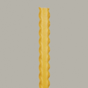 Close up still life raw reginette pasta noodle on gray background