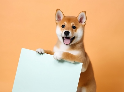 Puppy with blank whiteboard