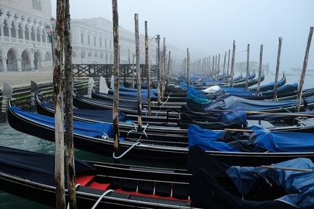 Venice  gondolas in the morning