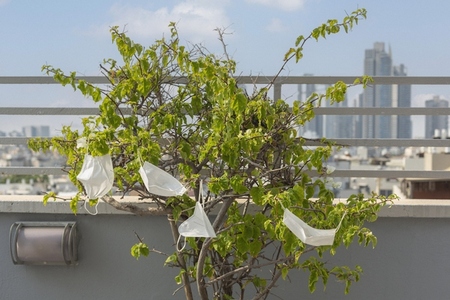 COVID 19 protective face masks hanging from tree on city rooftop