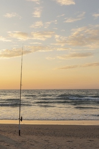 Fishing pole in sand on tranquil ocean beach at sunset