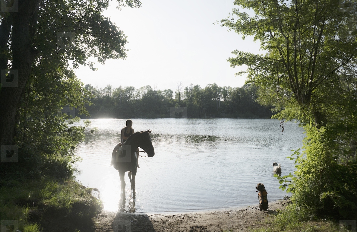 Girl on horseback with dogs wading in idyllic summer lake