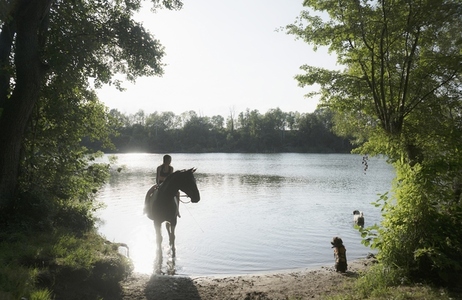 Girl on horseback with dogs wading in idyllic summer lake