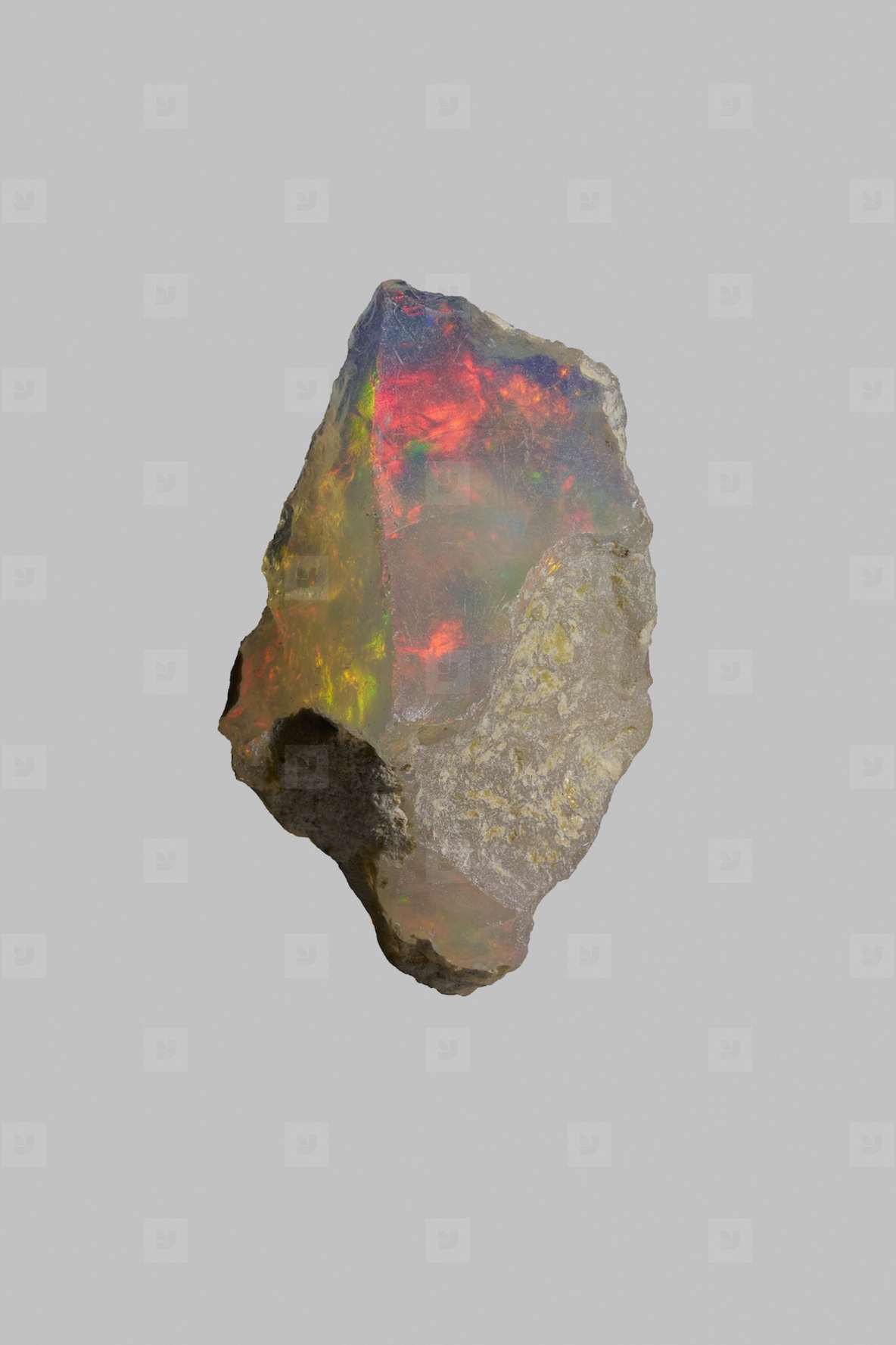 Close up iridescent multicolored welo opal on gray background 02