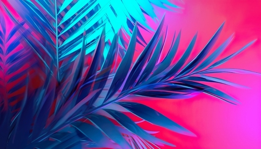Tropical palm vibrant color