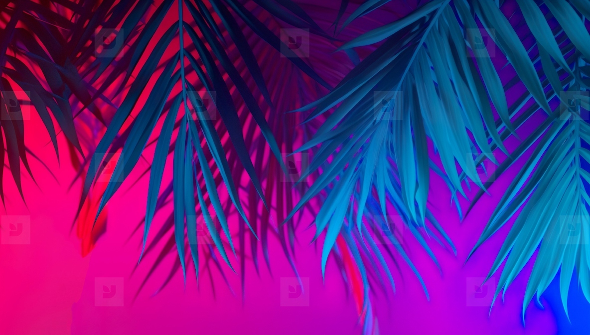 Tropical palm vibrant