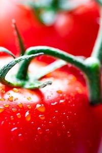 Macro photo of tomatoes closeup