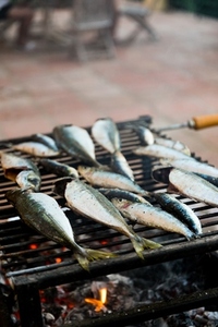 Fresh fish sadrines on a grill