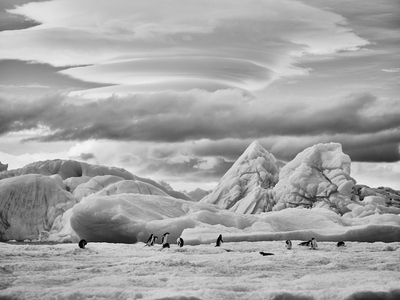 Penguins below majestic ice formations and overcast sky Antarctic Peninsula Antarctica
