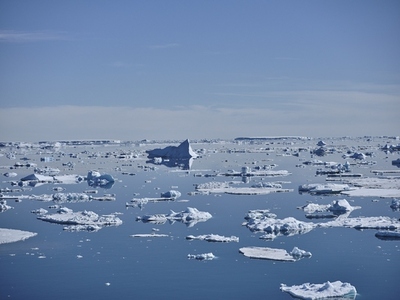 Melting glacial ice chunks floating on sunny ocean surface Antarctic Peninsula Antarctica