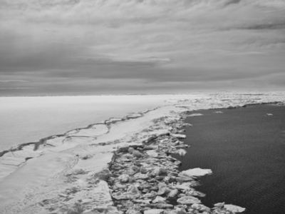 Ice on tranquil remote beach Antarctic Peninsula Weddell Sea Antarctica