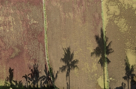 Aerial view palm tree shadows over rural rice field Bali Indonesia