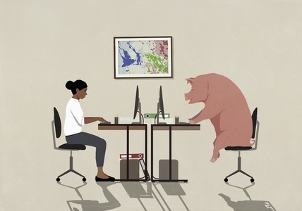 Businesswoman and pig working at computers in office