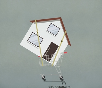 Strapped house in shopping cart