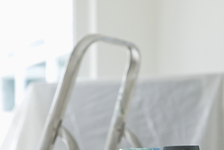 Blue paint and green paint testers with paint brush and ladder