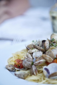 Close up of seafood spaghetti with clams