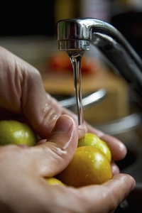 Man039 s hands washing cherry tomatoes with running water