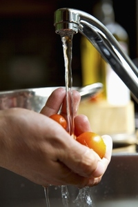 Man039 s hands washing cherry tomatoes with running water