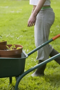 Young woman  standing next to wheelbarrow gardening
