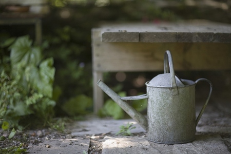 Summer garden and metal watering can