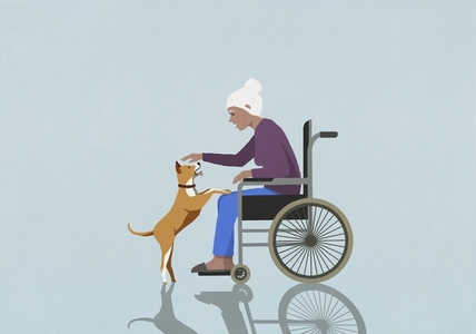 Senior woman in wheelchair playing with dog