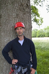 Portrait of a climber standing by tree