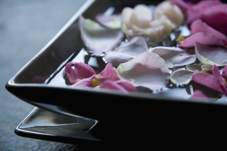 Pink floating petals in square bowl