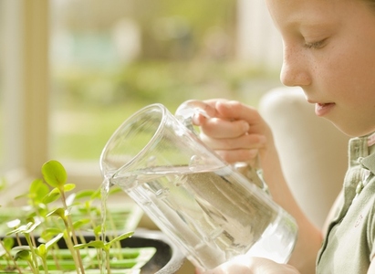 Girl watering seedlings with jug