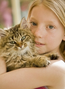 Close up of young girl hugging kitten