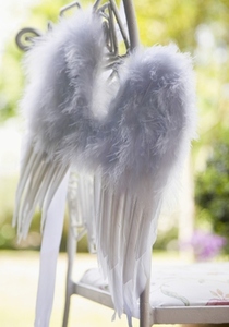 Close up of white feather wings hanging from  garden chair