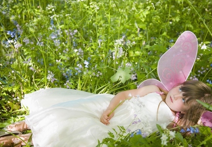 Portrait of a young girl in a fairy costume lying in a field of flowers