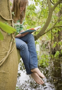 Teenage girl sitting on a the bough of a tree reading a book
