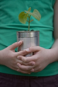 Close up of young girl hands holding a plant