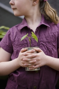Close up of young girl holding a plant