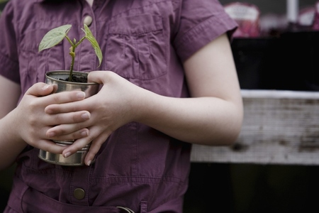 Close up of young girl hands holding a plant